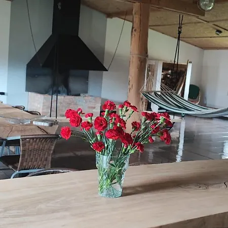 Siedlisko Na Lace Apartment