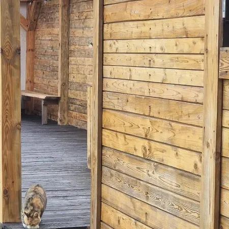 Appartamento Siedlisko Na Lace Dąbrówno